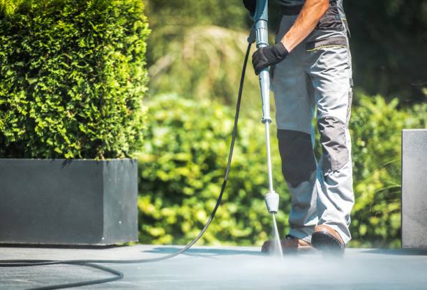 Best Paint Preparation  in Madisonville, TX