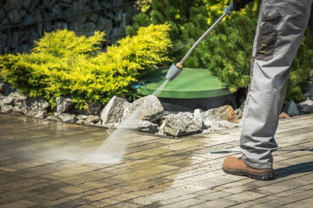 Professional Pressure Washing in Madisonville, TX