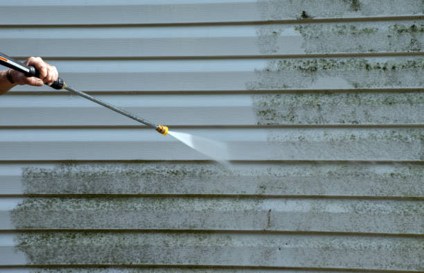 Best House Exterior Washing  in Madisonville, TX