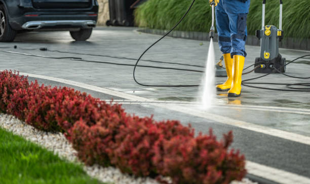 Best Animal Enclosure Cleaning  in Madisonville, TX