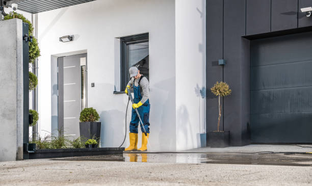Best Soft Washing  in Madisonville, TX